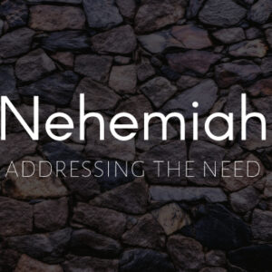 Nehemiah: Addressing the Need (Part 2)